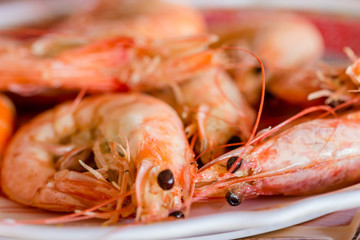 steamed shrimp