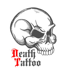 Vintage sketch of human skull for tattoo design