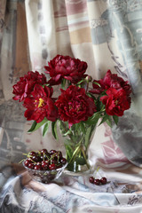 Still life with red peonies in white ceramic vase and berries ripe cherry