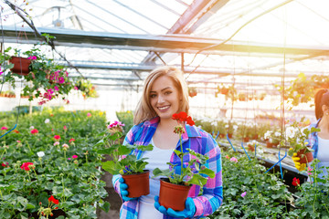 Attractive young woman working in greenhouse and enjoying in beautiful flowers