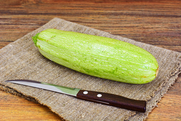 Fresh Green Zucchini