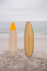 Two surfboard standing in sand