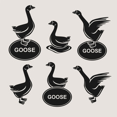 goose set. Vector © VKA