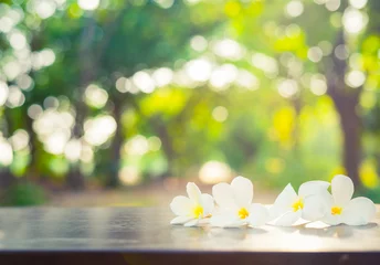 Fotobehang Mooie witte plumeriabloem op houten tafel © anatskwong