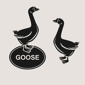goose set. Vector