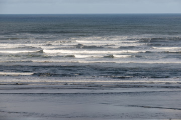 Naklejka na ściany i meble Low tide on the Washington state coast