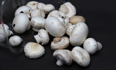  fresh champignon mushrooms on a dark background
