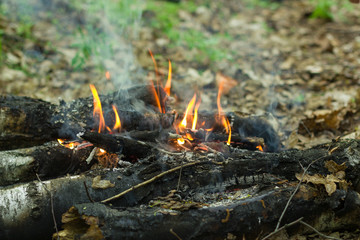 beautiful flame the fire of birch logs