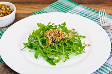 Arugula Salad and Rye Seedlings