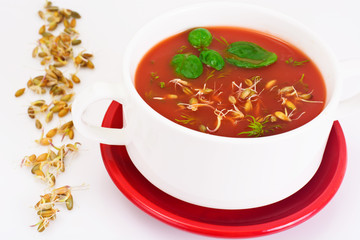 Tomato Soup with Germinated Grain in Plate. National Italian Cui