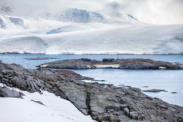 Nature and landscapes of the coast Antarctica, beautiful rocks, ocean.