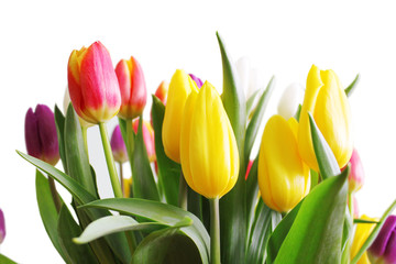 Fototapeta na wymiar Bouquet of Tulips
