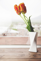 tulips on window