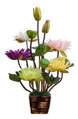 Fake lotus flower, Isolated on white background.