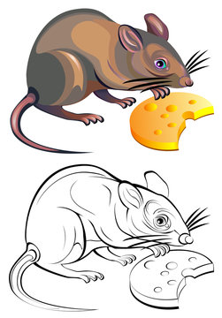 Colorful black and white pattern of rat, vector cartoon image.