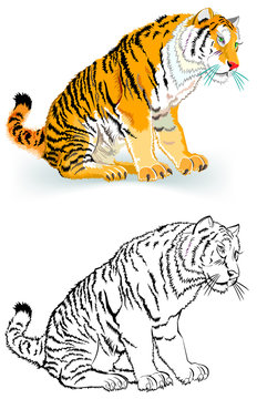 Colorful black and white pattern of tiger, vector cartoon image.