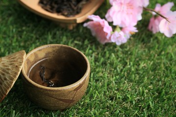 hot tea and sakura