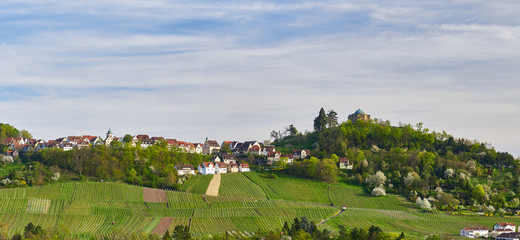Fototapeta na wymiar Panorama Stuttgart-Rotenberg mit Grabkapelle Württemberg