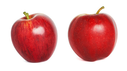 Different apple fruit isolated on white
