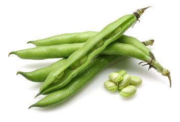 Broad Bean