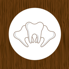 dental health care design 