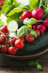 Tomato, cucmber, radish, basil and fennel on the wooden table