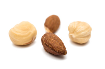 Nuts isolated