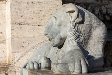 Fototapeta na wymiar Lion statue spitting water in The Fountain of Moses in Rome,Italy