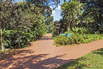 Fototapeta premium Split Red Brick Paved Walkway Leading into Forest