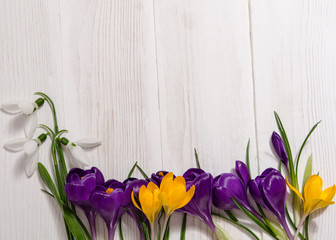 coner from crocus  and snowdrops on wooden background