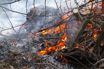 Огонь, костёр, лесной пожар
