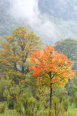 Fototapeta premium Ordesa