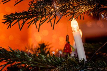 Christmas lights on a tree