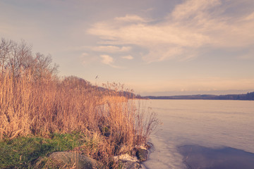 Obraz premium Reeds by a frozen lake