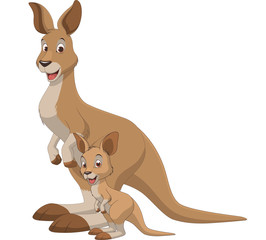 Adult and baby kangaroo