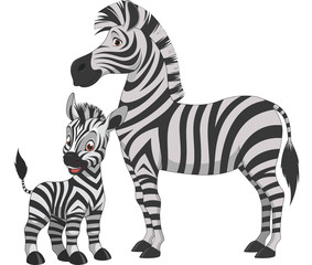 Adult zebra with cub © Andrey1005
