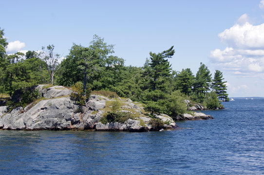 rocky island with pine trees © stephaniemurton
