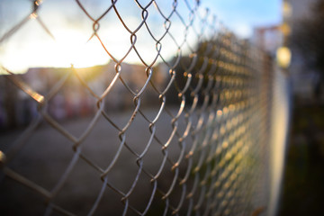 fence with metal grid in perspective