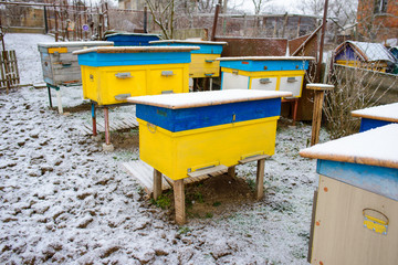 Fototapeta na wymiar Bee hives in the winter covered with snow in a garden