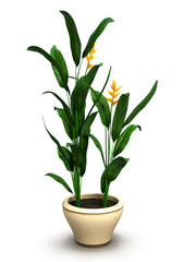 Plant in white pot isolated on white background.3D illustration.