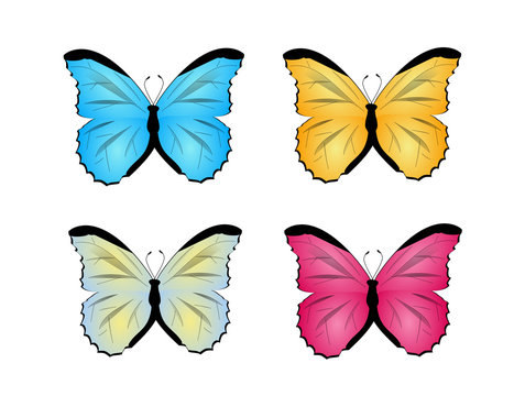 Butterfly set illustrations