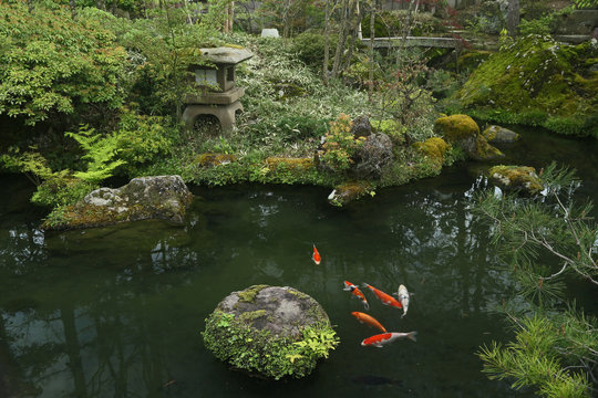 日本庭園　（洗心庵）