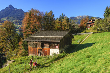 Wanderung mit Kinderwagen im herbstlichen Montafon