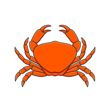 Red Crab. Vector Illustration