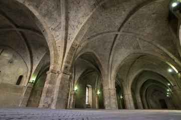  medieval Palace of the Popes's porch