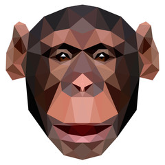 Fototapeta premium Polygonal monkey chimpanzee