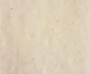 Texture of traditional organic paper, the material obtained from specific kind of tree