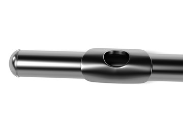 3d renderings of flute (musical instrument)