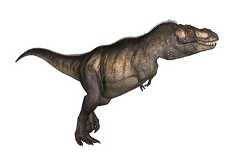 Obraz na płótnie Canvas 3D Illustration Tyrannosaurus on White