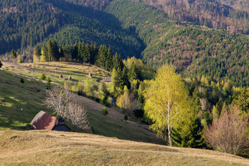 Spring alpine landscape with green fields at Bran - Moieciu, Transylvania, Romania